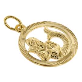 trendor 75940-02 Sternzeichen Wassermann Gold 333 Anhänger Ø 16 mm + Halskette