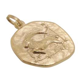 trendor 39070-01 Steinbock Sternzeichen Ø 20 mm Herrenkette Gold auf Silber