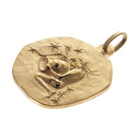 trendor 39070-02 Wassermann Sternzeichen Ø 20 mm Herrenkette Gold auf Silber