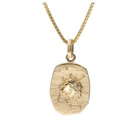 trendor 15382-08 Löwe Sternzeichen Gold 333 / 8K mit vergoldeter Silberkette