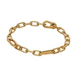 Pandora 563829C00 Damenarmband Matt Goldfarben